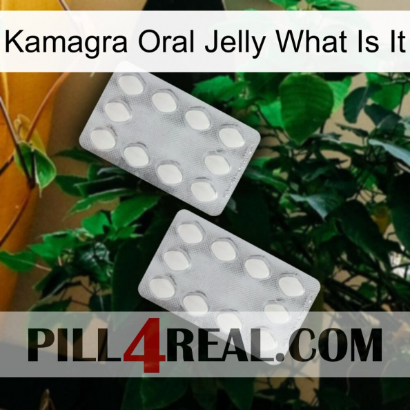 Kamagra Oral Jelly What Is It 17.jpg